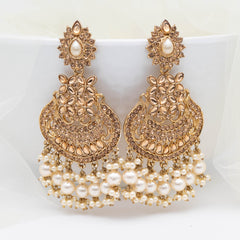 Elegant Stone work Drop Earrings